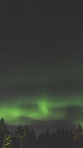 Preview wallpaper northern lights, aurora, starry sky, trees, sky