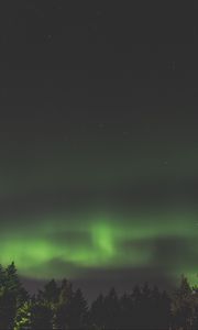 Preview wallpaper northern lights, aurora, starry sky, trees, sky