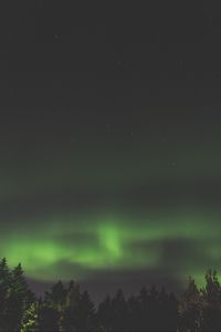 Preview wallpaper northern lights, aurora, starry sky, trees, sky