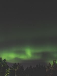 Preview wallpaper northern lights, aurora, starry sky, trees, sky