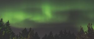 Preview wallpaper northern lights, aurora, starry sky, trees, sky