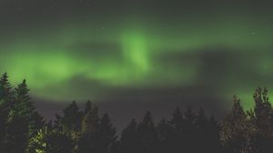Preview wallpaper northern lights, aurora, starry sky, trees, sky