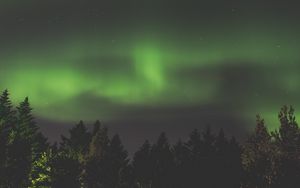 Preview wallpaper northern lights, aurora, starry sky, trees, sky