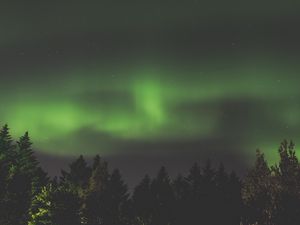 Preview wallpaper northern lights, aurora, starry sky, trees, sky