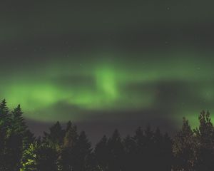 Preview wallpaper northern lights, aurora, starry sky, trees, sky