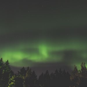 Preview wallpaper northern lights, aurora, starry sky, trees, sky