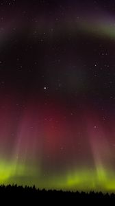 Preview wallpaper northern lights, aurora, starry sky, trees