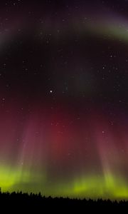 Preview wallpaper northern lights, aurora, starry sky, trees