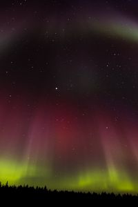 Preview wallpaper northern lights, aurora, starry sky, trees