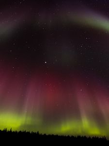 Preview wallpaper northern lights, aurora, starry sky, trees