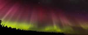 Preview wallpaper northern lights, aurora, starry sky, trees