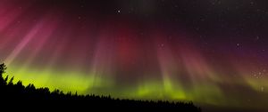 Preview wallpaper northern lights, aurora, starry sky, trees