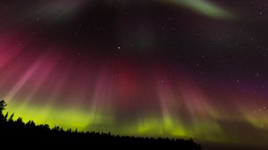 Preview wallpaper northern lights, aurora, starry sky, trees