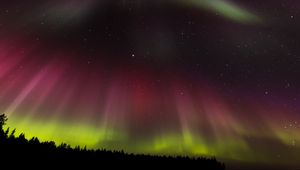 Preview wallpaper northern lights, aurora, starry sky, trees