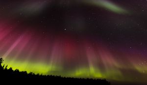 Preview wallpaper northern lights, aurora, starry sky, trees