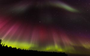 Preview wallpaper northern lights, aurora, starry sky, trees