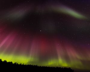 Preview wallpaper northern lights, aurora, starry sky, trees