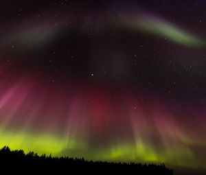 Preview wallpaper northern lights, aurora, starry sky, trees