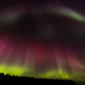 Preview wallpaper northern lights, aurora, starry sky, trees