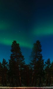 Preview wallpaper northern lights, aurora, trees, forest, starry sky