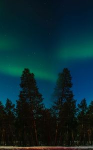 Preview wallpaper northern lights, aurora, trees, forest, starry sky