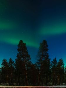 Preview wallpaper northern lights, aurora, trees, forest, starry sky