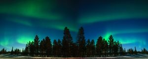 Preview wallpaper northern lights, aurora, trees, forest, starry sky