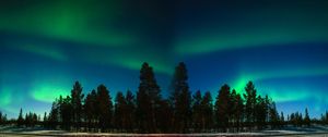 Preview wallpaper northern lights, aurora, trees, forest, starry sky