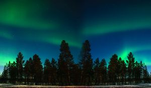 Preview wallpaper northern lights, aurora, trees, forest, starry sky