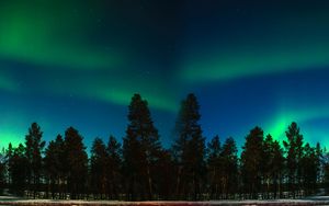 Preview wallpaper northern lights, aurora, trees, forest, starry sky