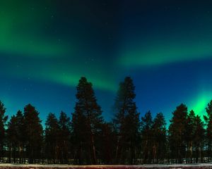 Preview wallpaper northern lights, aurora, trees, forest, starry sky