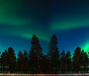 Preview wallpaper northern lights, aurora, trees, forest, starry sky