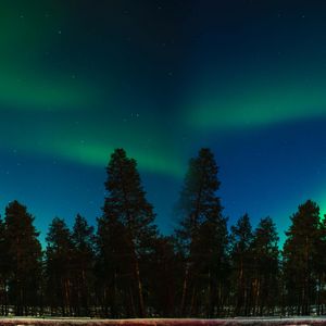 Preview wallpaper northern lights, aurora, trees, forest, starry sky