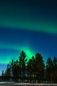 Preview wallpaper northern lights, aurora, trees, light phenomenon, lapland