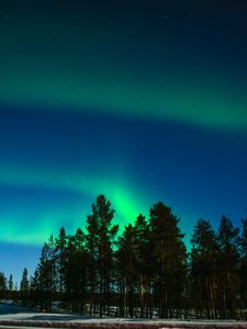 Preview wallpaper northern lights, aurora, trees, light phenomenon, lapland