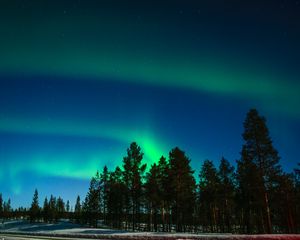 Preview wallpaper northern lights, aurora, trees, light phenomenon, lapland