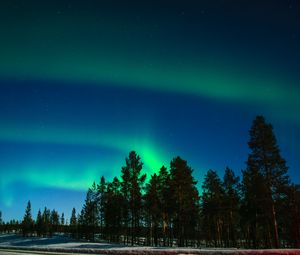 Preview wallpaper northern lights, aurora, trees, light phenomenon, lapland