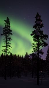 Preview wallpaper northern lights, aurora, trees, snow, forest, night, snowy