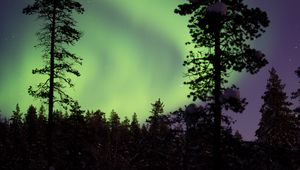 Preview wallpaper northern lights, aurora, trees, snow, forest, night, snowy
