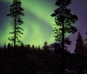 Preview wallpaper northern lights, aurora, trees, snow, forest, night, snowy