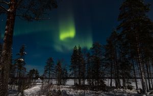 Preview wallpaper northern lights, aurora, winter, forest, night, trees, sky