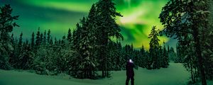 Preview wallpaper northern lights, forest, silhouette, winter, night, north