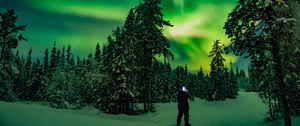 Preview wallpaper northern lights, forest, silhouette, winter, night, north