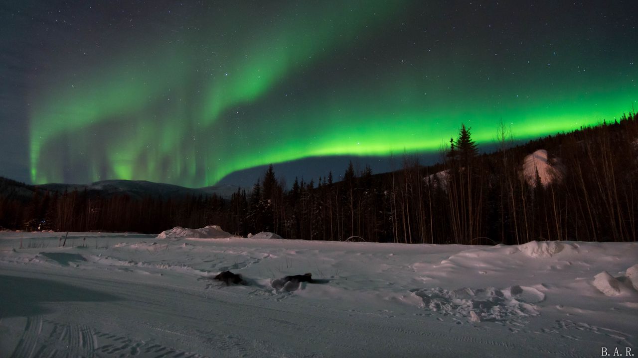 Wallpaper northern lights, forest, snow, winter, landscape