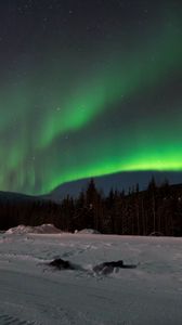 Preview wallpaper northern lights, forest, snow, winter, landscape