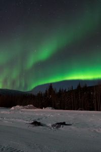 Preview wallpaper northern lights, forest, snow, winter, landscape