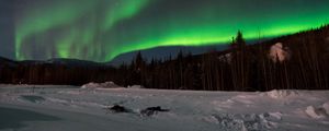 Preview wallpaper northern lights, forest, snow, winter, landscape