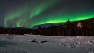 Preview wallpaper northern lights, forest, snow, winter, landscape