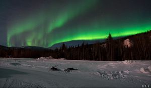 Preview wallpaper northern lights, forest, snow, winter, landscape