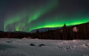 Preview wallpaper northern lights, forest, snow, winter, landscape